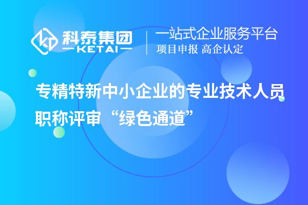 專精特新中小企業(yè)的專業(yè)技術(shù)人員職稱評(píng)審“綠色通道”