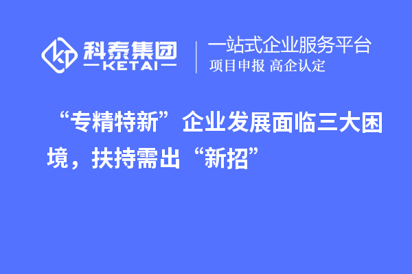 “專精特新”企業(yè)發(fā)展面臨三大困境，扶持需出“新招”