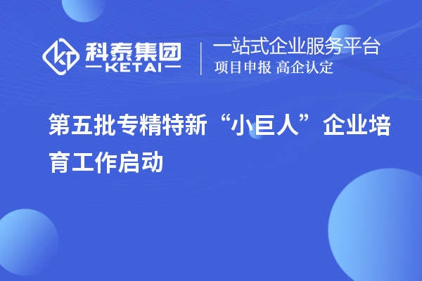 第五批專精特新“小巨人”企業(yè)培育工作啟動(dòng)