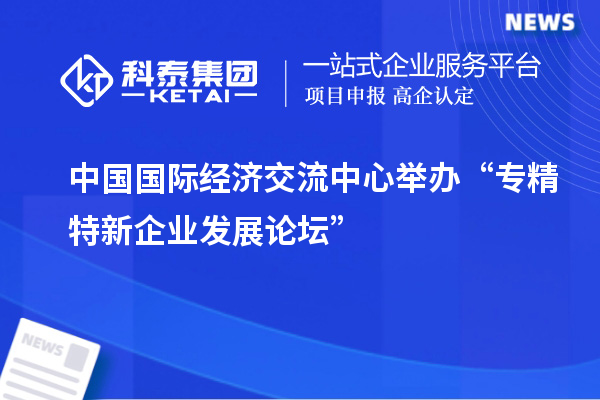 中國國際經(jīng)濟交流中心舉辦“專精特新企業(yè)發(fā)展論壇”