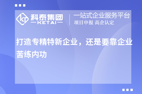 打造專(zhuān)精特新企業(yè)，還是要靠企業(yè)苦練內功