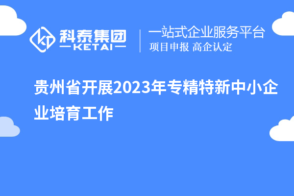 貴州省開展2023年專精特新中小企業(yè)培育工作