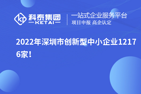 2022年深圳市創(chuàng)新型中小企業(yè)12176家！