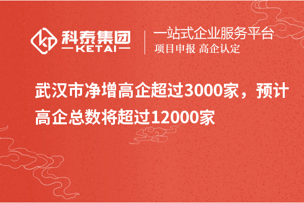 武漢市凈增高企超過(guò)3000家，預計高企總數將超過(guò)12000家