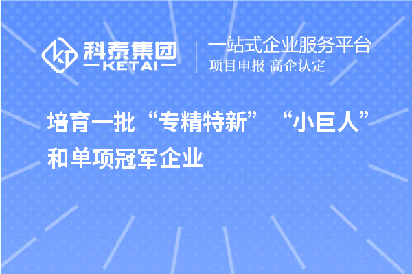 培育一批“專精特新”“小巨人”和單項冠軍企業(yè)