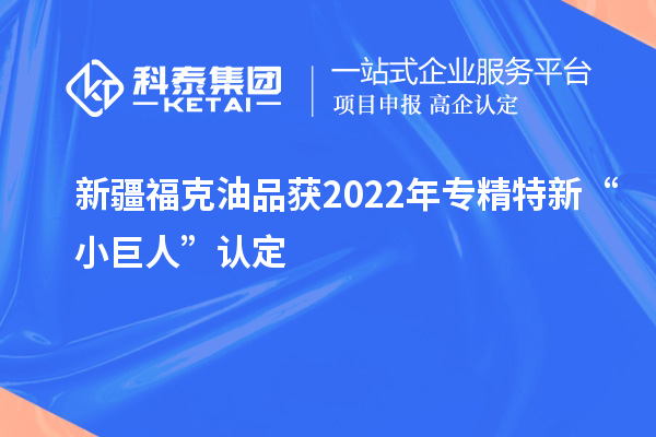 新疆?？擞推帆@2022年專精特新“小巨人”認(rèn)定