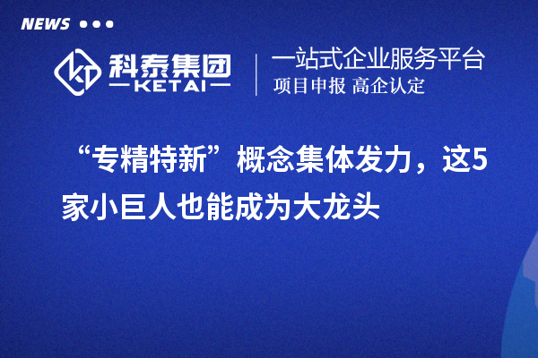 “專精特新”概念集體發(fā)力，這5家小巨人也能成為大龍頭