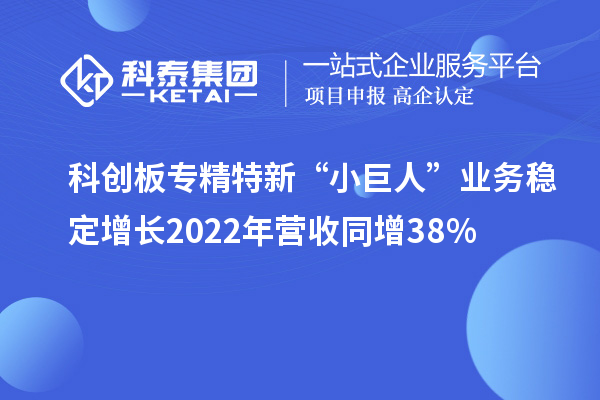 科創(chuàng)板專精特新“小巨人”業(yè)務(wù)穩(wěn)定增長 2022年營收同增38%