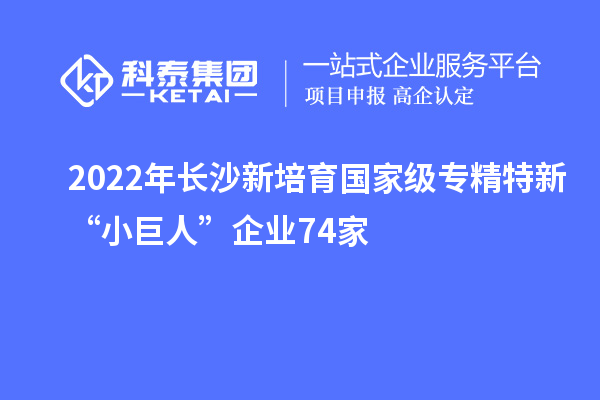 2022年長(zhǎng)沙新培育國(guó)家級(jí)專(zhuān)精特新“小巨人”企業(yè)74家