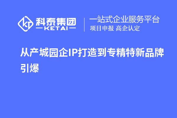 從產(chǎn)城園企IP打造到專精特新品牌引爆