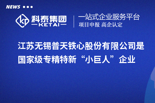 江蘇無錫普天鐵心股份有限公司是國(guó)家級(jí)專精特新“小巨人”企業(yè)