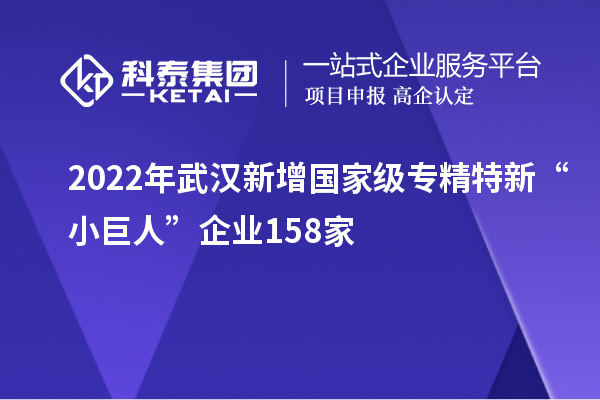 2022年武漢新增國家級專精特新“小巨人”企業(yè)158家