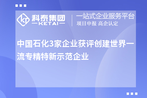 中國石化3家企業(yè)獲評創(chuàng)建世界一流專精特新示范企業(yè)