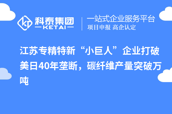 江蘇專(zhuān)精特新“小巨人”企業(yè)打破美日40年壟斷，碳纖維產(chǎn)量突破萬(wàn)噸