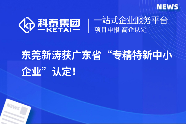 東莞新濤獲廣東省“專精特新中小企業(yè)”認(rèn)定！