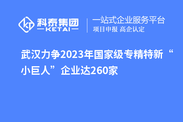 武漢力爭2023年國家級專(zhuān)精特新“小巨人”企業(yè)達260家