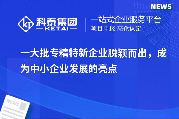 一大批專精特新企業(yè)脫穎而出，成為中小企業(yè)發(fā)展的亮點(diǎn)