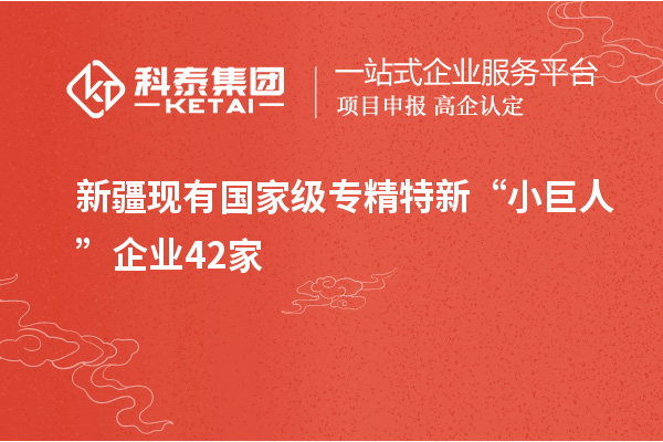 新疆現(xiàn)有國家級專精特新“小巨人”企業(yè)42家