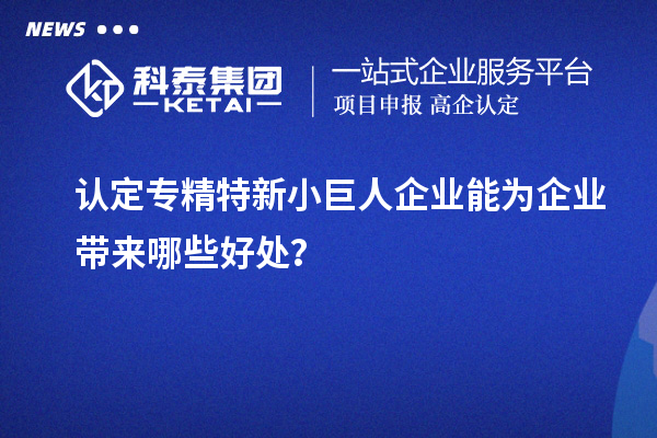 認(rèn)定專精特新小巨人企業(yè)能為企業(yè)帶來哪些好處？