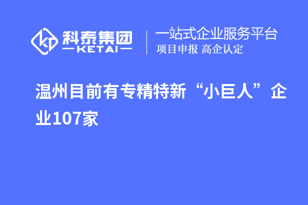 溫州目前有專精特新“小巨人”企業(yè)107家