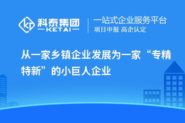 從一家鄉(xiāng)鎮(zhèn)企業(yè)發(fā)展為一家“專精特新”的小巨人企業(yè)