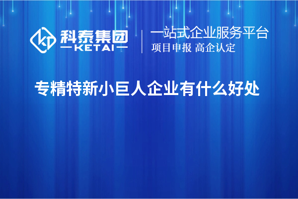 專精特新小巨人企業(yè)有什么好處