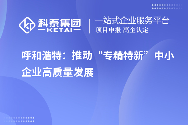 呼和浩特：推動“專精特新” 中小企業(yè)高質(zhì)量發(fā)展