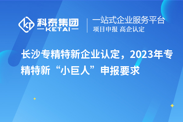 長(cháng)沙專(zhuān)精特新企業(yè)認定，2023年專(zhuān)精特新“小巨人”申報要求