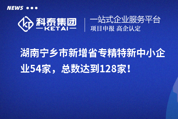 湖南寧鄉(xiāng)市新增省專精特新中小企業(yè)54家，總數(shù)達到128家！