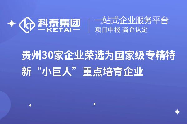 貴州30家企業(yè)榮選為國家級專精特新“小巨人”重點培育企業(yè)