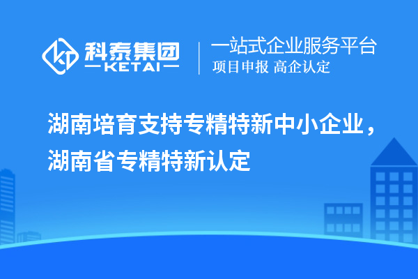 湖南培育支持專精特新中小企業(yè)，湖南省專精特新認定