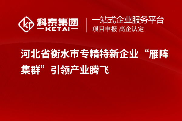 河北省衡水市專精特新企業(yè)“雁陣集群”引領(lǐng)產(chǎn)業(yè)騰飛