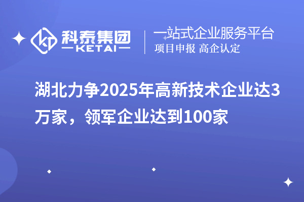 湖北力爭2025年高新技術(shù)企業(yè)達(dá)3萬家，領(lǐng)軍企業(yè)達(dá)到100家