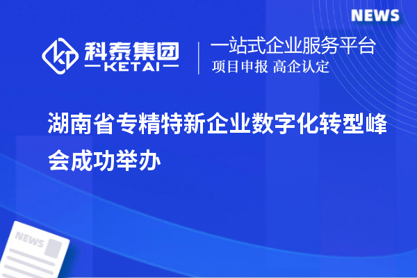 湖南省專(zhuān)精特新企業(yè)數字化轉型峰會(huì )成功舉辦