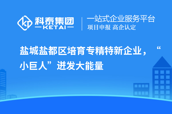 鹽城鹽都區(qū)培育專精特新企業(yè)，“小巨人”迸發(fā)大能量