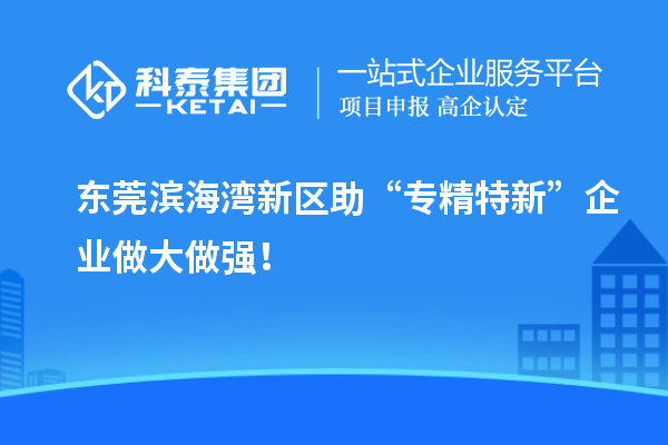 東莞濱海灣新區(qū)助“專精特新”企業(yè)做大做強(qiáng)！