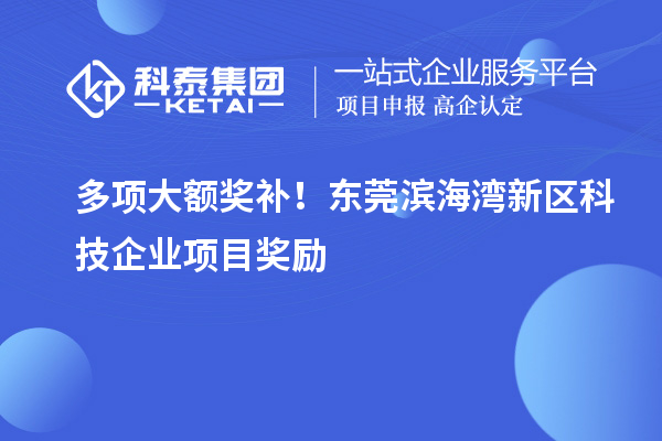 多項大額獎補(bǔ)！東莞濱海灣新區(qū)科技企業(yè)項目獎勵