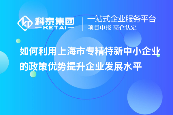 如何利用上海市專(zhuān)精特新中小企業(yè)的政策優(yōu)勢提升企業(yè)發(fā)展水平