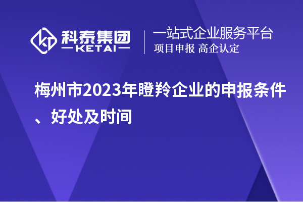 梅州市2023年瞪羚企業(yè)的申報條件、好處及時(shí)間