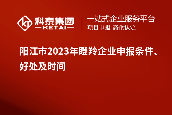 陽(yáng)江市2023年瞪羚企業(yè)申報條件、好處及時(shí)間