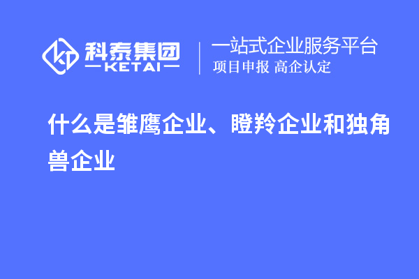 什么是雛鷹企業(yè)、瞪羚企業(yè)和獨(dú)角獸企業(yè)