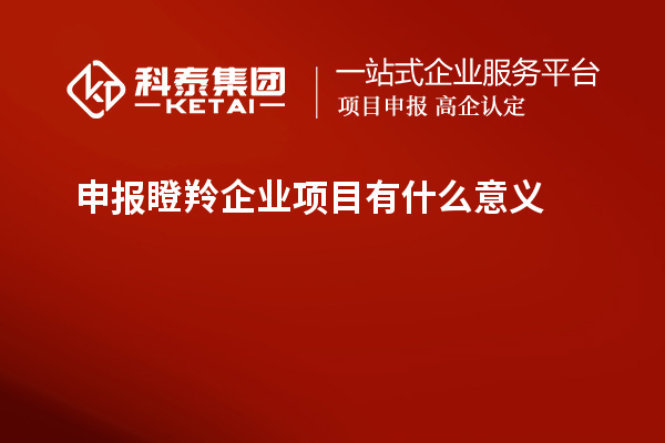 申報瞪羚企業(yè)項目有什么意義