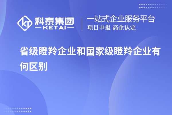 省級(jí)瞪羚企業(yè)和國(guó)家級(jí)瞪羚企業(yè)有何區(qū)別