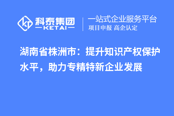 湖南省株洲市：提升知識產(chǎn)權(quán)保護水平，助力專精特新企業(yè)發(fā)展