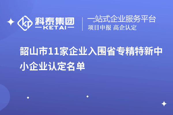 韶山市11家企業(yè)入圍省專精特新中小企業(yè)認定名單