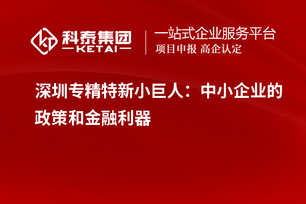 深圳專精特新小巨人：中小企業(yè)的政策和金融利器