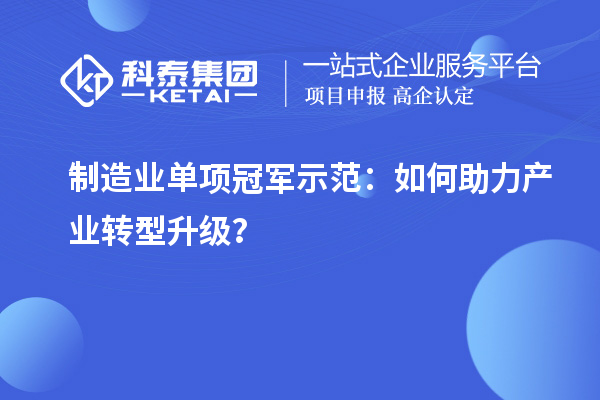 制造業(yè)單項冠軍示范：如何助力產(chǎn)業(yè)轉(zhuǎn)型升級？