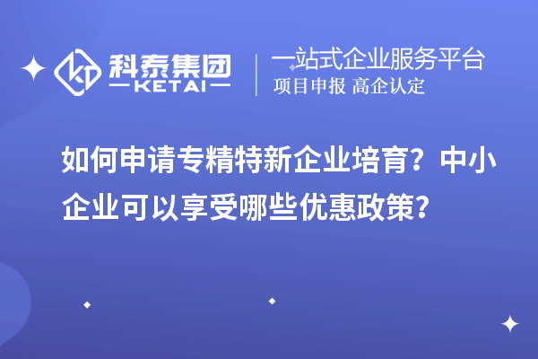 如何申請(qǐng)專(zhuān)精特新企業(yè)培育？中小企業(yè)可以享受哪些優(yōu)惠政策？