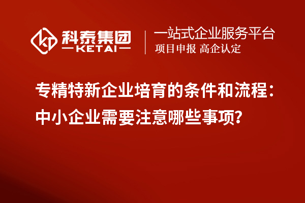 專精特新企業(yè)培育的條件和流程：中小企業(yè)需要注意哪些事項(xiàng)？