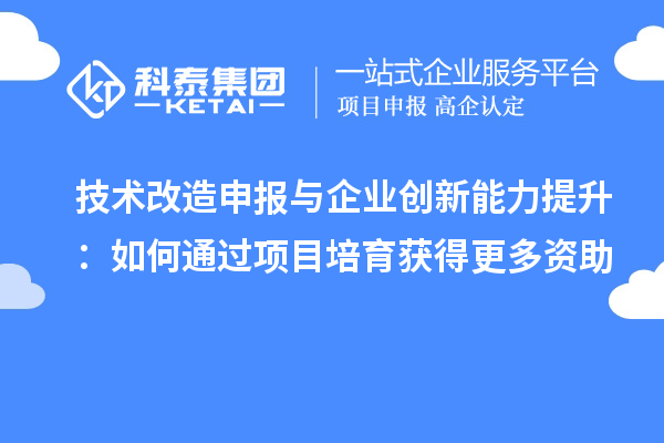 技術(shù)改造申報與企業(yè)創(chuàng  )新能力提升：如何通過(guò)項目培育獲得更多資助